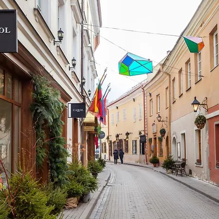 公寓 #stayhere - Cozy 1bdr Old Town 维尔纽斯