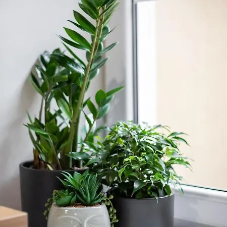 公寓 #stayhere - Cozy 1bdr Old Town *