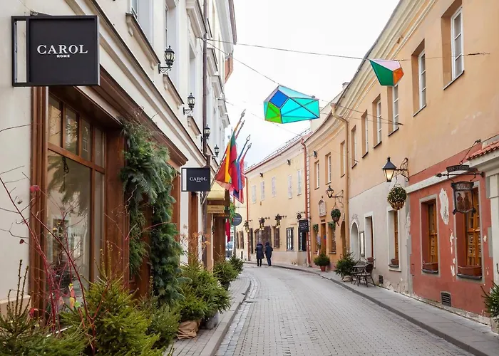 Butas #stayhere - Cozy 1bdr Old Town Vilnius
