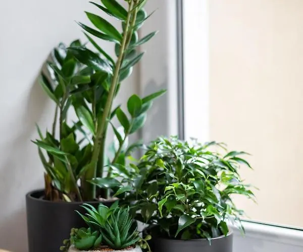 アパート #stayhere - Cozy 1bdr Old Town *