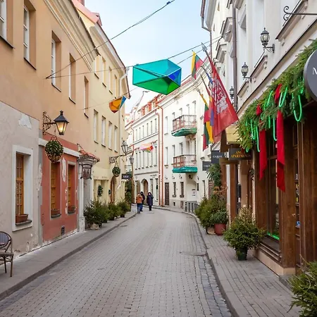 Lägenhet #stayhere - Cozy 1bdr Old Town VNO