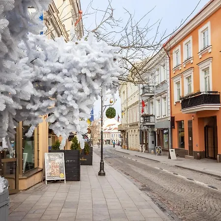 #stayhere - Cozy 1bdr Old Town VNO